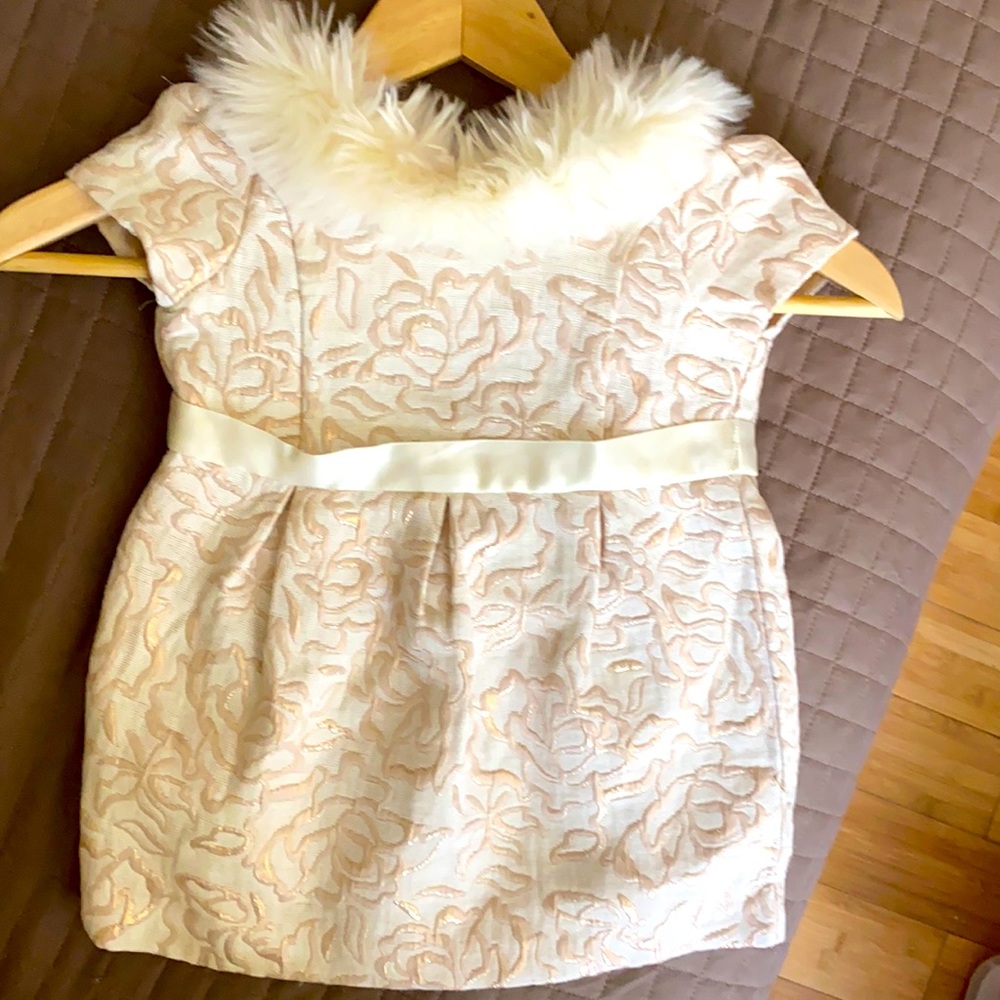 Janie and Jack cream/pink gold dress